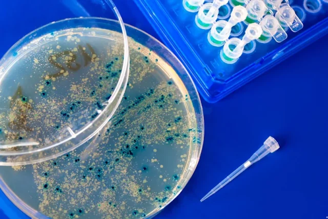 La IA ya puede crear virus desde cero: el avance científico que promete combatir superbacterias y preocupa por su potencial